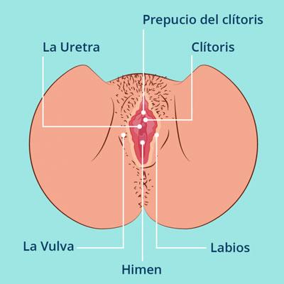 Marie Stopes clínica de salud sexual y reproductiva